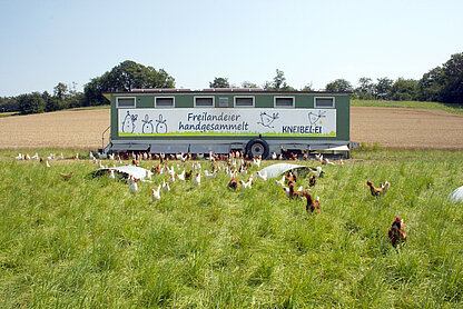Das Eiermobil - mobiler Freilandhühnerstall