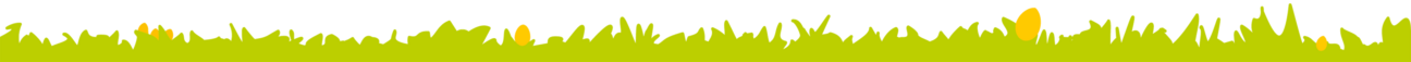 --- wiesenfrische Freiland-Eier direkt vom Erzeuger ---